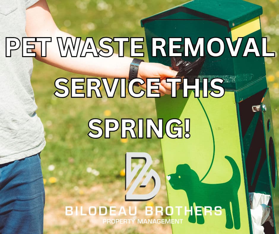 Project Spring Pet Waste Cleanup Service image