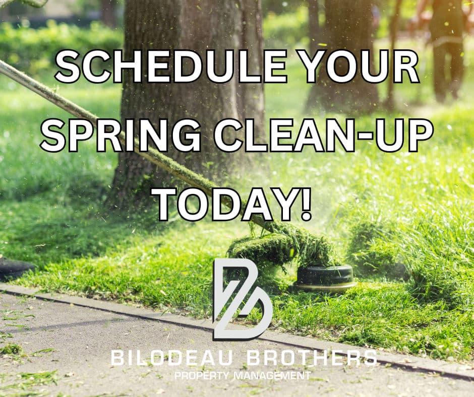 Project Getting Ready for Spring with Our Expert Clean-Up Services image