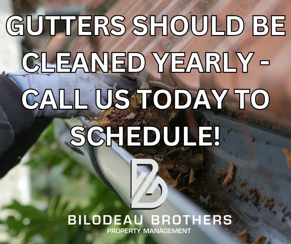 Project Protect Your Home with Expert Gutter Cleaning image