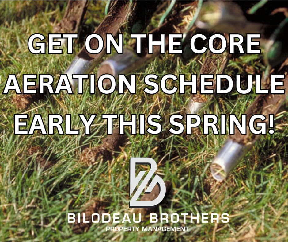 Project Core Aeration Prep for a Healthy Lawn image