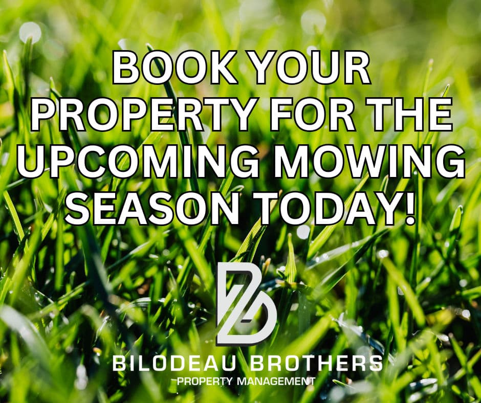 Project Book Your Lawn for the Upcoming Mowing Season image