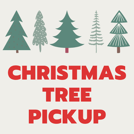 Project Free Christmas Tree Pickup Service image