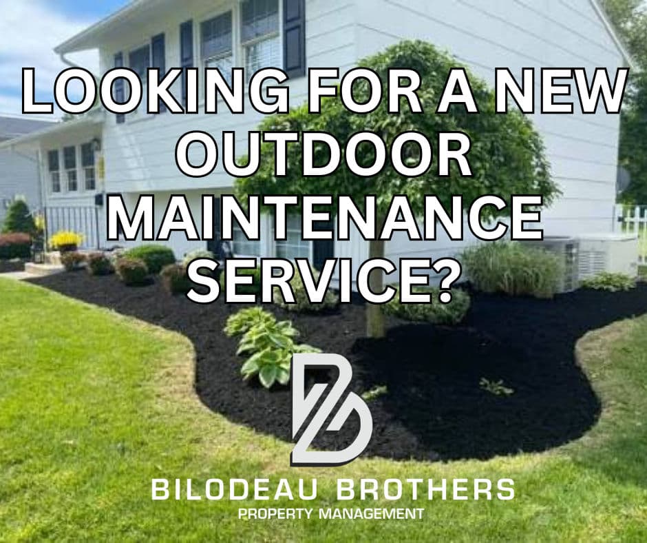 Elevate Your Outdoor Space with Our Maintenance Services image