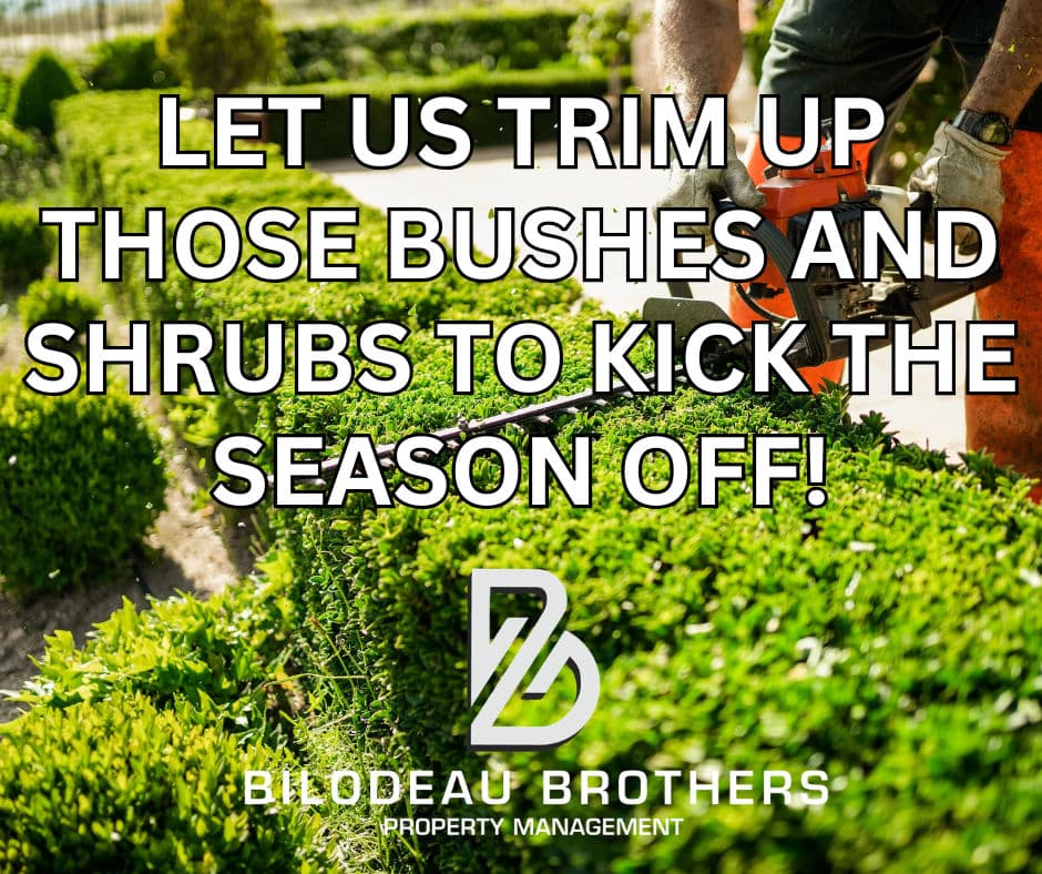 Spring Trimming Services to Keep Your Landscape Neat image