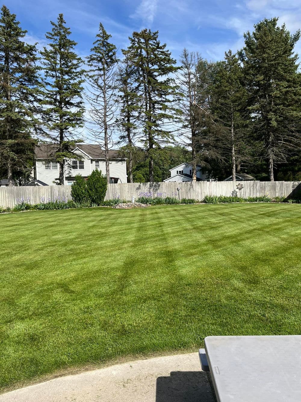 Lawncare image