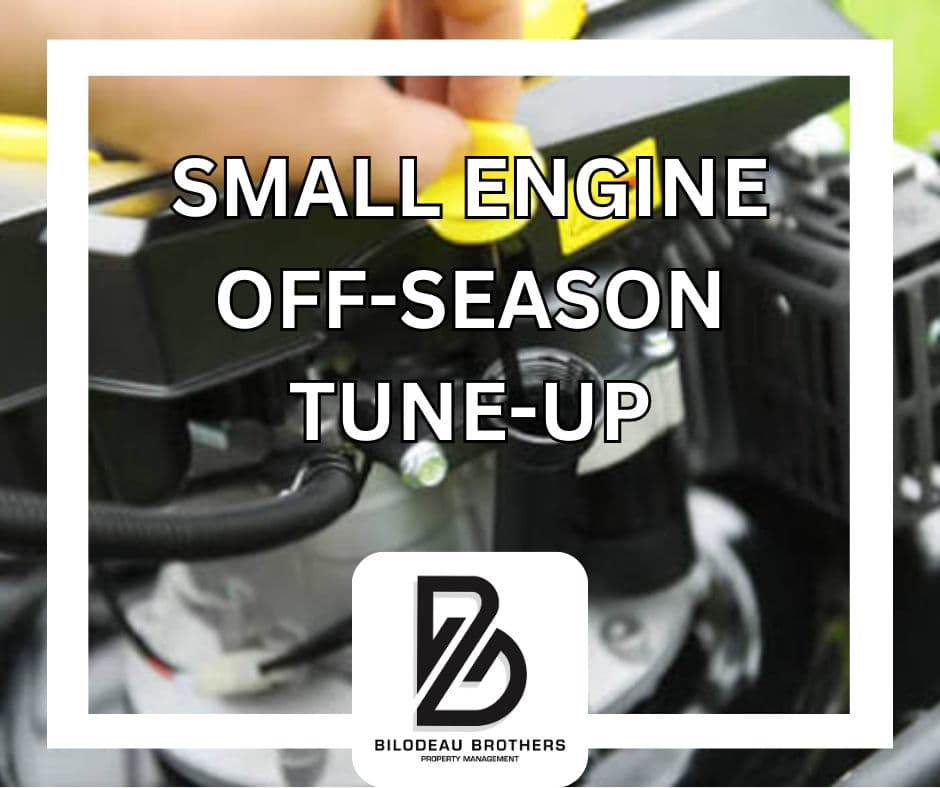 Small Engine Off-Season Tune-Up image