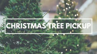 Christmas Tree Pickup Service image